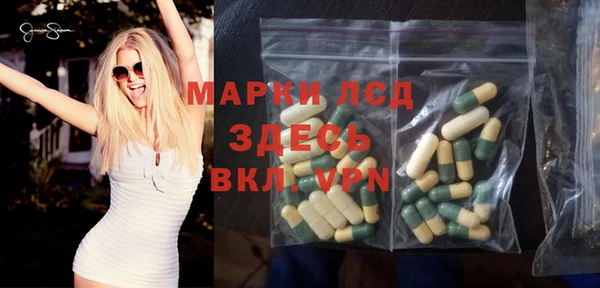 ГАЛЛЮЦИНОГЕННЫЕ ГРИБЫ Горняк