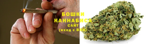 ГАЛЛЮЦИНОГЕННЫЕ ГРИБЫ Горняк