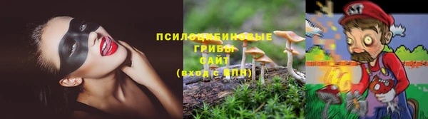 ГАЛЛЮЦИНОГЕННЫЕ ГРИБЫ Горняк