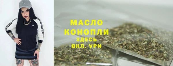 2c-b Горно-Алтайск