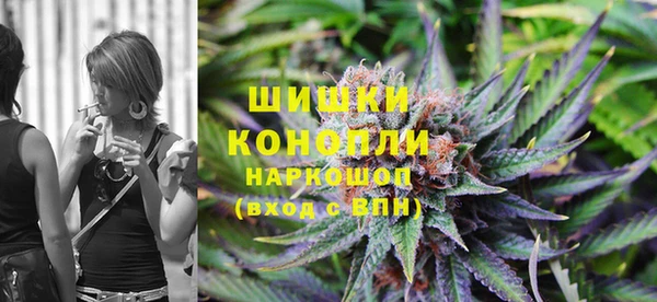 ГАЛЛЮЦИНОГЕННЫЕ ГРИБЫ Щигры