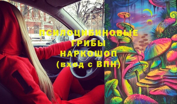 бошки Горнозаводск