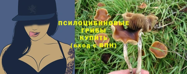 бошки Горнозаводск