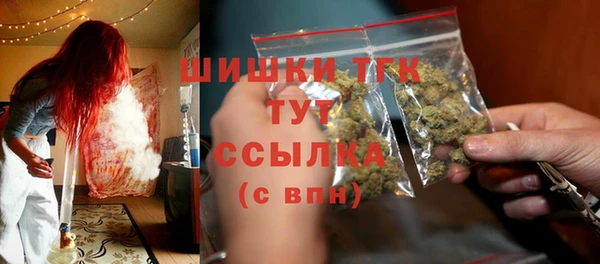 2c-b Горно-Алтайск