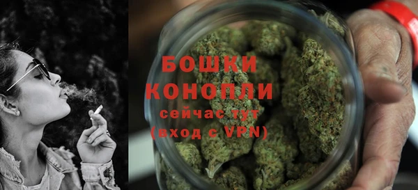 2c-b Горно-Алтайск