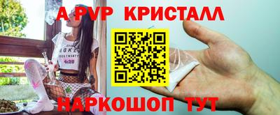 МДПВ Кингисепп