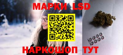 МДПВ Кингисепп