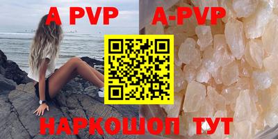 МДПВ Кингисепп