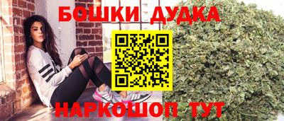 МДПВ Кингисепп