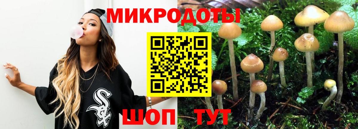 Псилоцибиновые грибы мицелий Клин